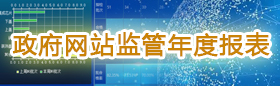 政府網(wǎng)站監(jiān)管年度報(bào)表
