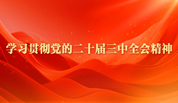 學(xué)習(xí)貫徹黨的二十屆三中全會(huì)精神