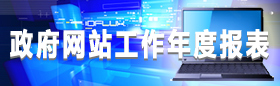 政府網(wǎng)站工作年度報(bào)表