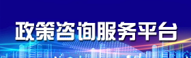 政策咨詢(xún)綜合服務(wù)平臺(tái)